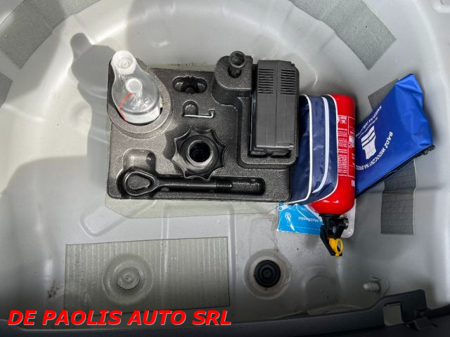 VOLKSWAGEN Polo usata, con Controllo vocale