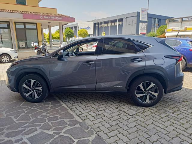 LEXUS NX 300 usata, con Interni in pelle
