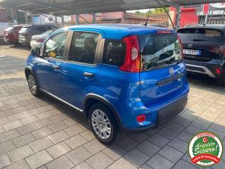 FIAT Panda usata, con Airbag Passeggero