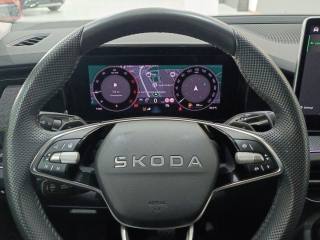 SKODA Kodiaq usata, con Specchietti laterali elettrici