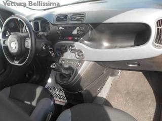 FIAT Panda usata 15