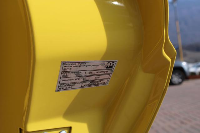 ALFA ROMEO 4C usata 19