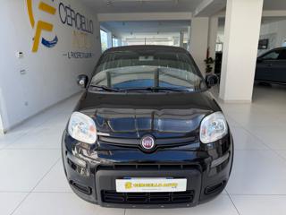 FIAT Panda usata, con Antifurto