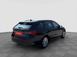 SKODA Octavia usata 4