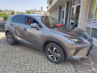 LEXUS NX 300 usata, con ESP