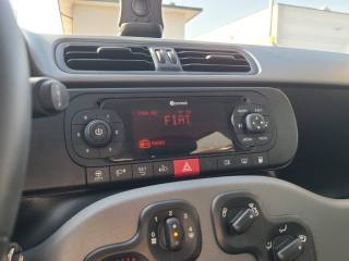 FIAT Panda usata, con Controllo trazione