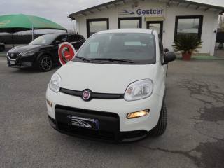 FIAT Panda usata, con Antifurto