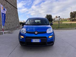 FIAT Panda usata 47