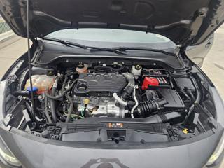 FORD Focus usata 23