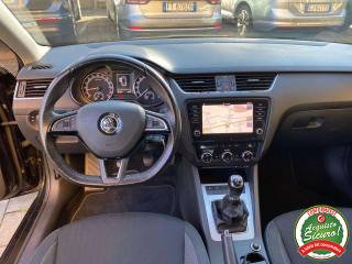 SKODA Octavia usata, con Fendinebbia