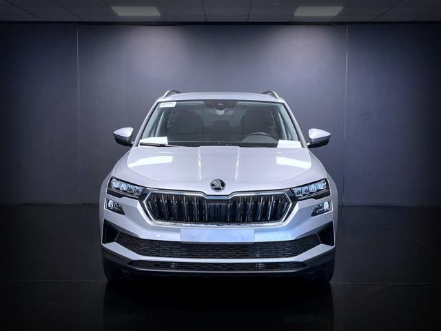 SKODA Karoq usata, con Alzacristalli elettrici