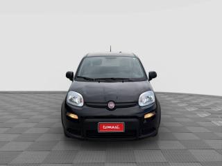 FIAT Panda usata 7