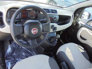 FIAT Panda usata 12