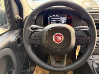 FIAT Panda usata, con Lettore CD