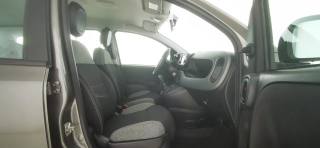 FIAT Panda usata 40