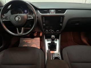 SKODA Octavia usata, con Volante multifunzione
