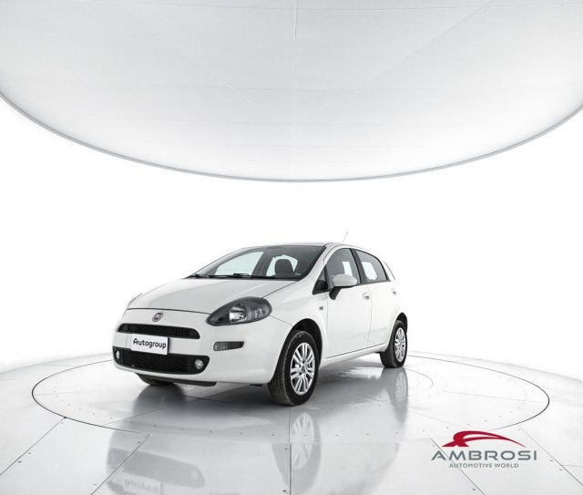 FIAT Punto usata 0