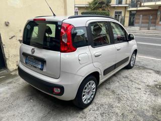 FIAT Panda usata, con Immobilizzatore elettronico