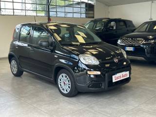 FIAT Panda usata, con Airbag Passeggero