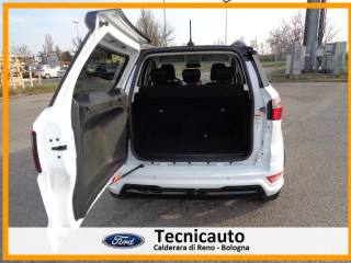 FORD EcoSport usata, con Cruise Control