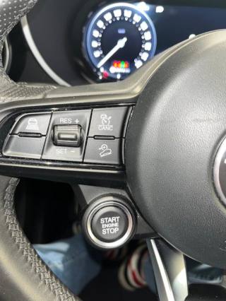ALFA ROMEO Stelvio usata, con ESP