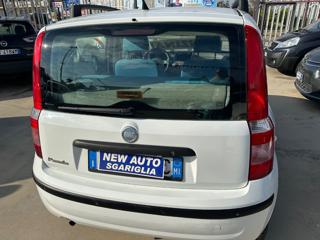 FIAT Panda usata, con Chiusura centralizzata