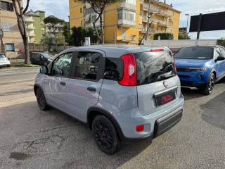FIAT Panda usata, con Fendinebbia