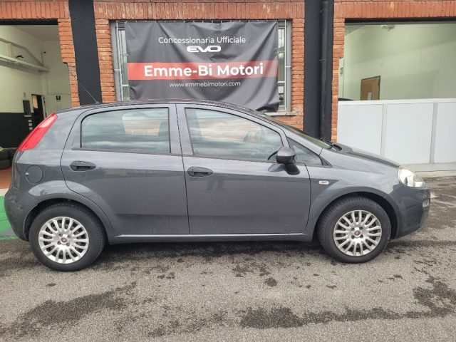 FIAT Punto usata, con Fendinebbia