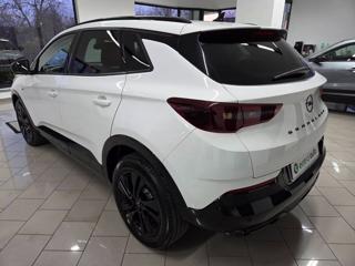 OPEL Grandland usata, con Cronologia tagliandi
