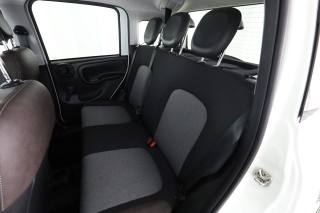 FIAT Panda usata 3