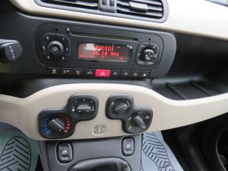 FIAT Panda usata 13