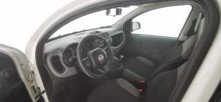 FIAT Panda usata, con USB