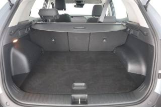 KIA Sportage usata 5
