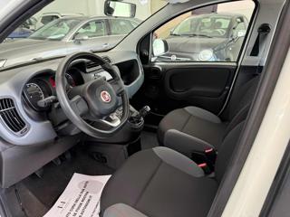 FIAT Panda usata, con Controllo trazione