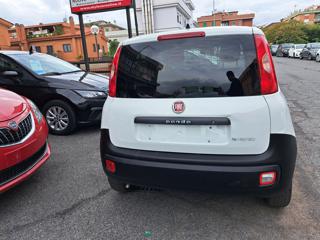 FIAT Panda usata, con Chiusura centralizzata senza chiave