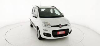 FIAT Panda usata 32