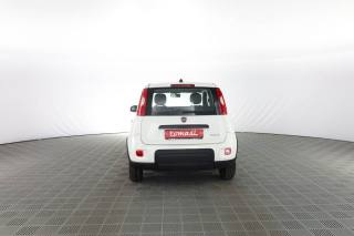 FIAT Panda usata 4