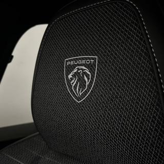 PEUGEOT 3008 usata, con Controllo trazione