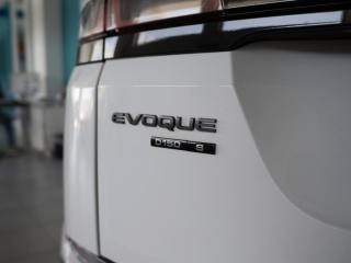 LAND ROVER Range Rover Evoque usata, con Regolazione elettrica sedili
