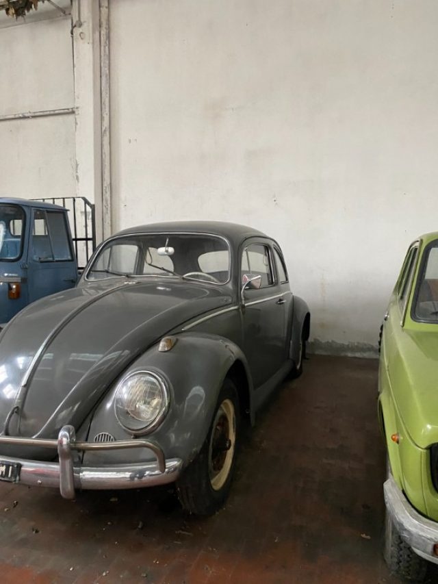 VOLKSWAGEN Maggiolone usata 2