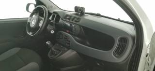 FIAT Panda usata 37