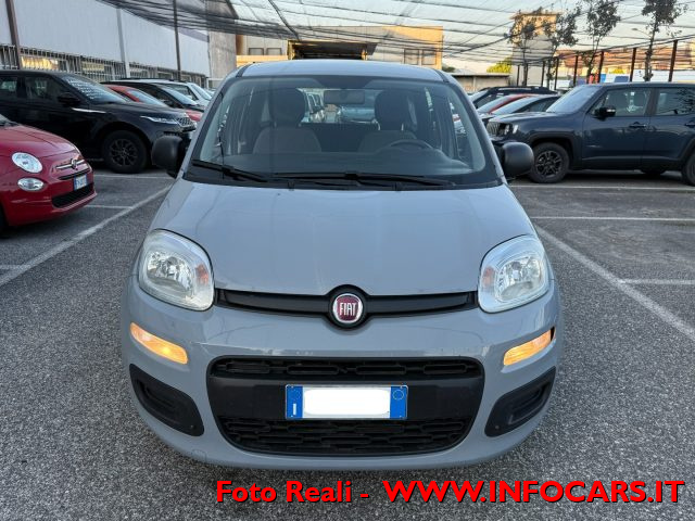 FIAT Panda usata 13