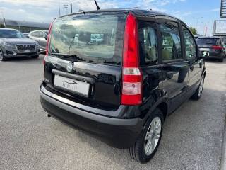 FIAT Panda usata 2