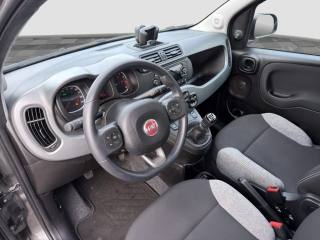 FIAT Panda usata 8