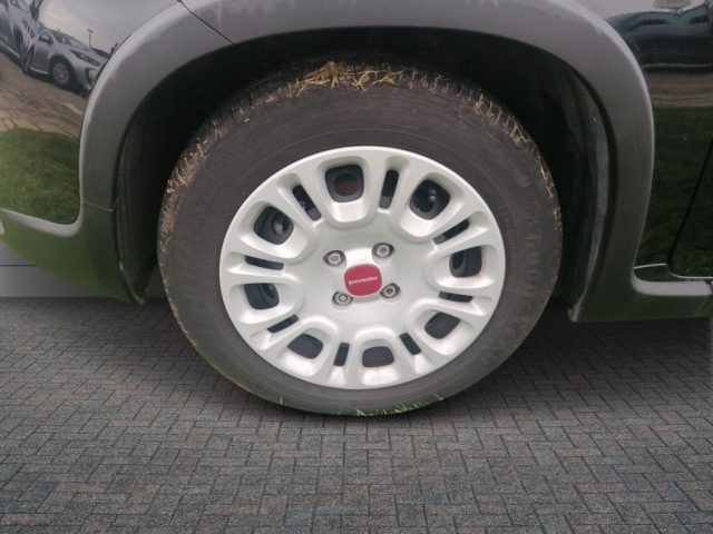 FIAT Panda usata 12