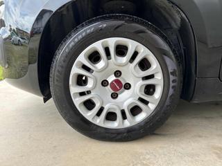 FIAT Panda usata 36