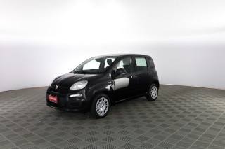 FIAT Panda usata 6