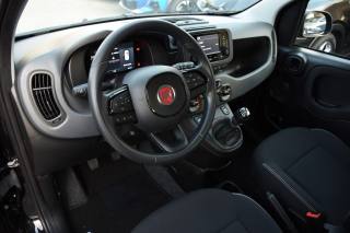 FIAT Panda usata, con Antifurto