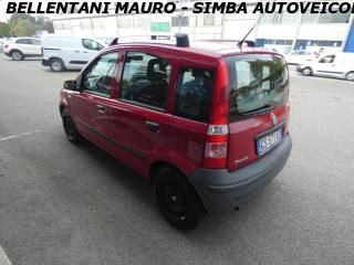 FIAT Panda usata 4