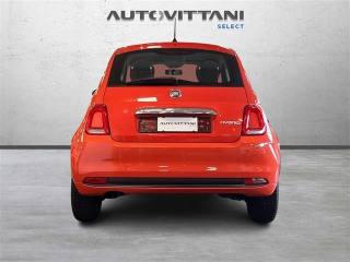 FIAT 500 usata 3
